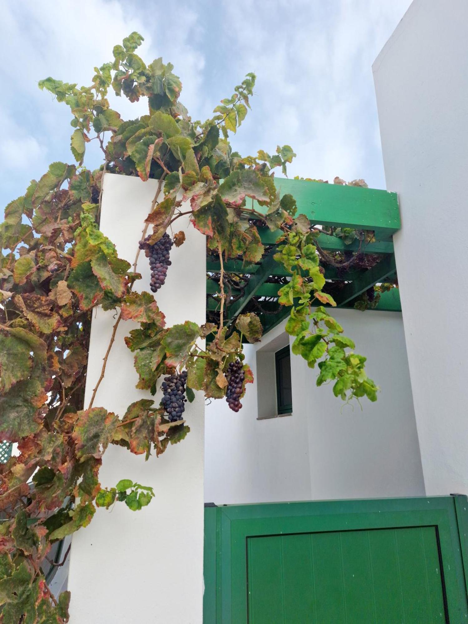 Casa Maracuya Costa Teguise Exterior foto